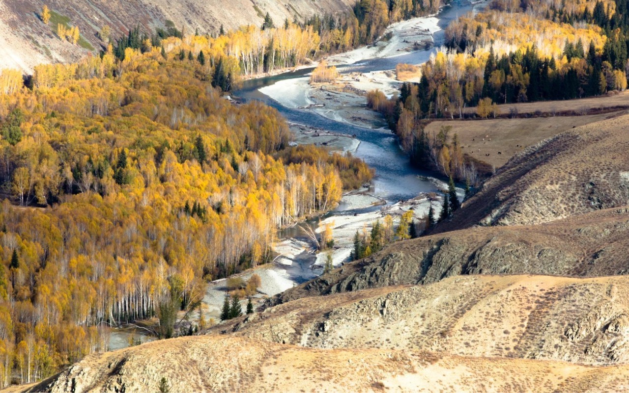 丝路西域，新疆诗意之旅